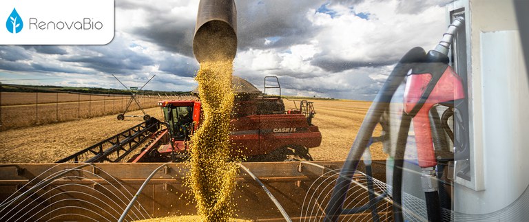 Publicado decreto que regulamenta data para comprovação de atendimento às metas individuais de CBIOs