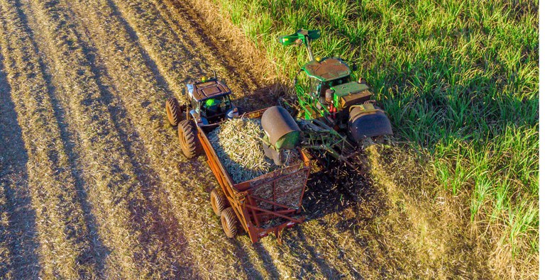 Colheita de cana - Getty.jpg