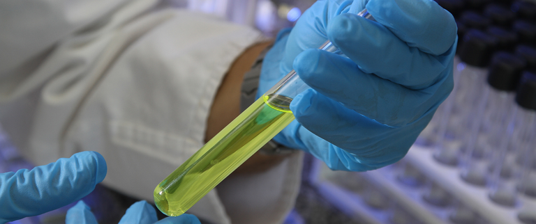 Design sem nome (54).png