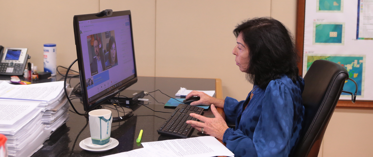 Secretária-executiva do MME explica próximos passos após aprovação da MP 998