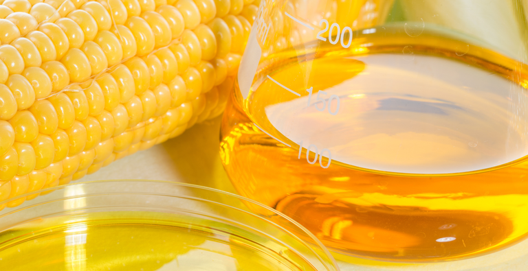 Design sem nome - 2025-06-30T122719.948.png