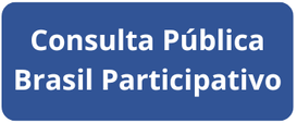 Brasil Participativo - 300