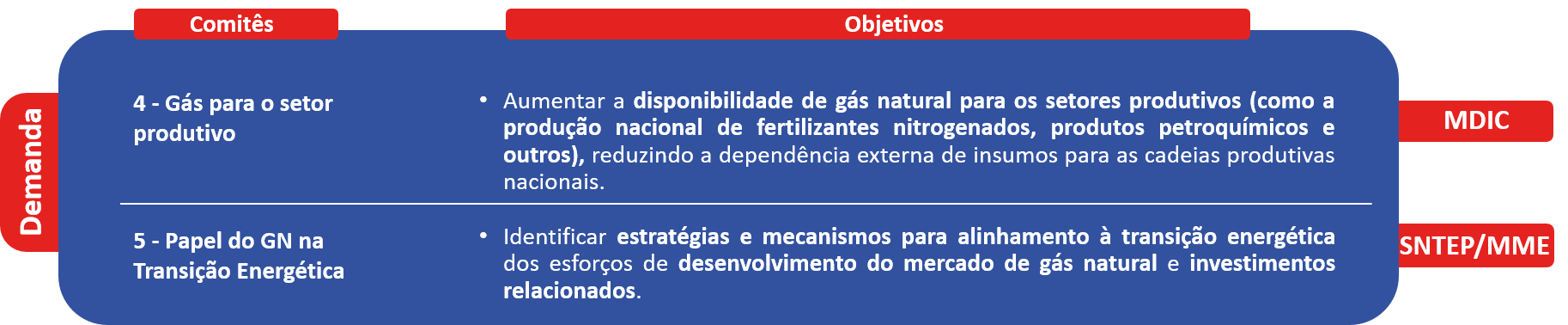 Estrutura Comitês 2