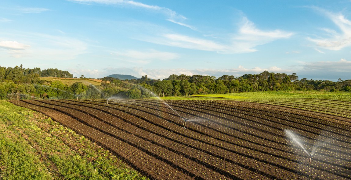 Proposta moderniza regras para irrigação e aquicultura, amplia a flexibilidade de horários do benefício e recebe contribuições até 18 de fevereiro
