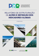 Capa Relatorio de Estruturação Ação e Indicadores