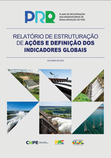 Relatório de Estruturação de Ações e Indicadores