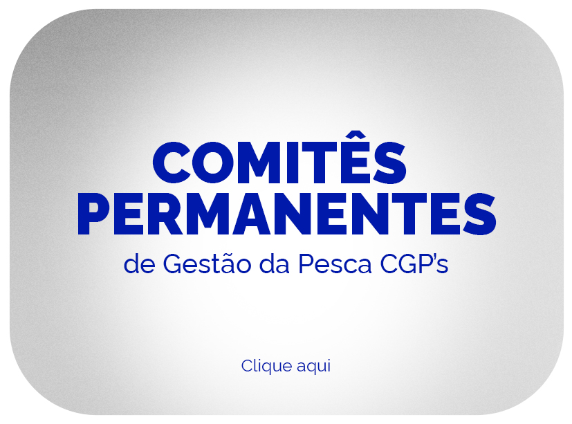 link para acessar o painel