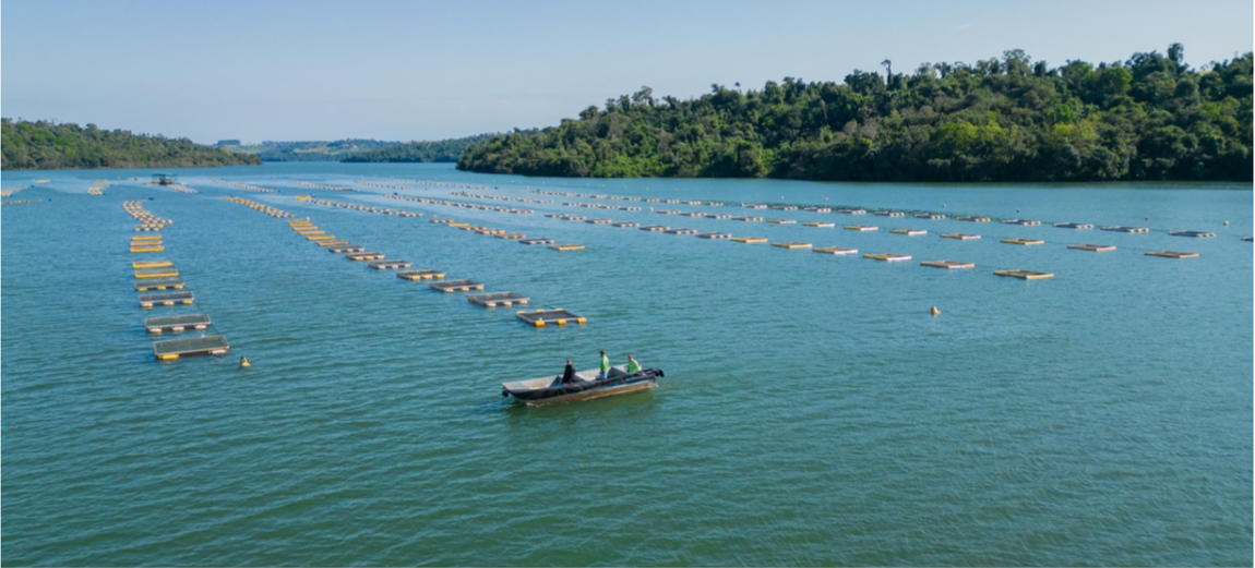 area de cultivo da aquicultura