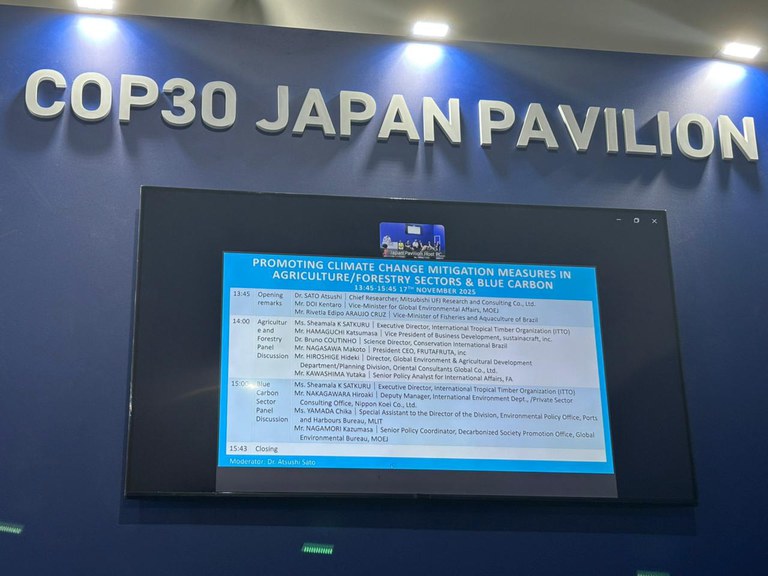 WhatsApp Image 2025-11-19 at 11.50.08.jpeg