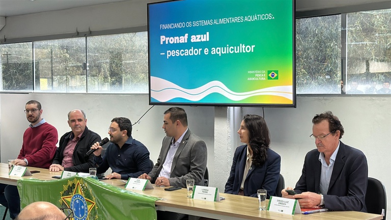Grupo