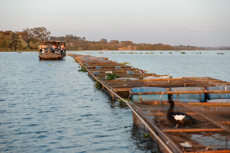 2ª Formação dos Gestores da Política de Aquicultura capacita Superintendências Federais da Pesca e Aquicultura