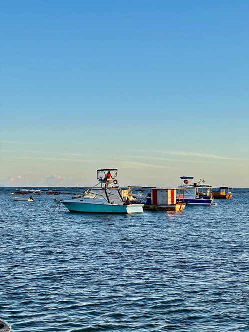 Embarcações do Porto da Praia do Forte - Bahia