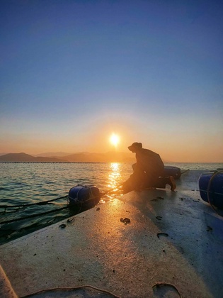 Pesca