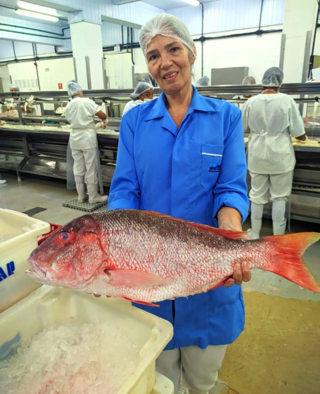 WhatsApp Image 2025-02-17 at 15.41.03.JPG