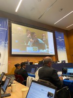 Brasil defende sua cota de 6.043 ton para pesca da albacora bandolim