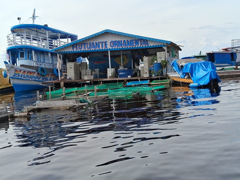 Aramar Castro Pinheiro 7.jpeg