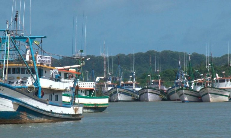 Conheça as vantagens da certificação higiênico-sanitária das embarcações de pesca