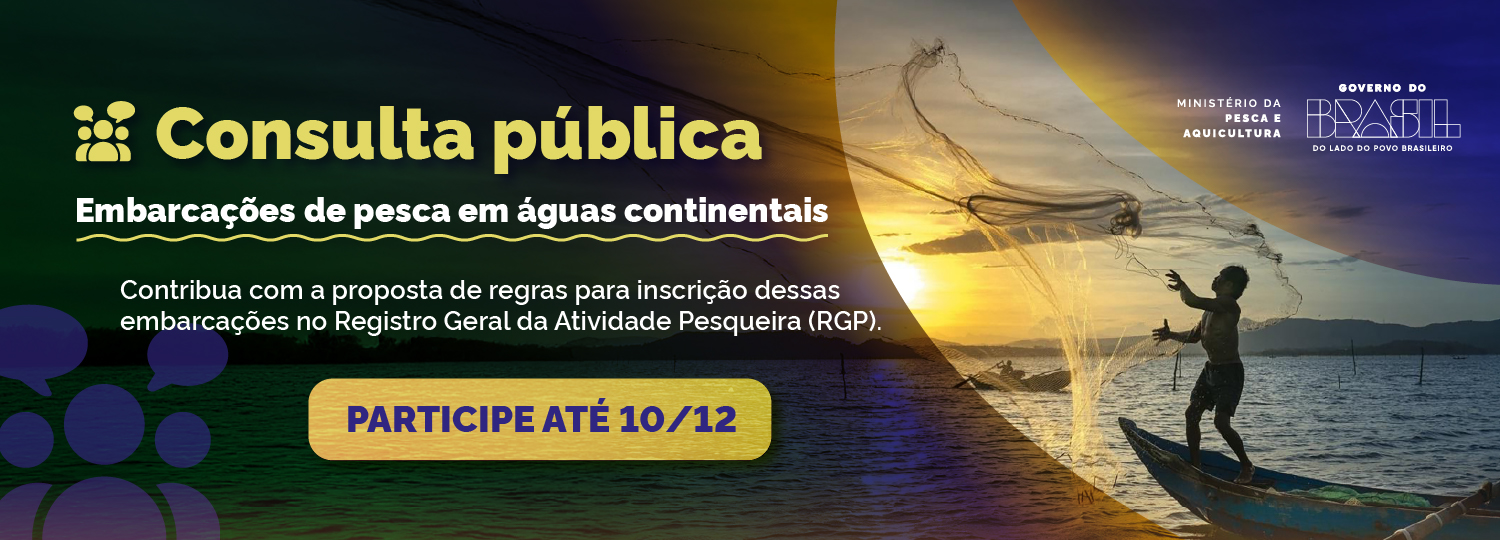 Consulta pública sobre regras para registro de embarcações de pesca em águas continentais até 10/12