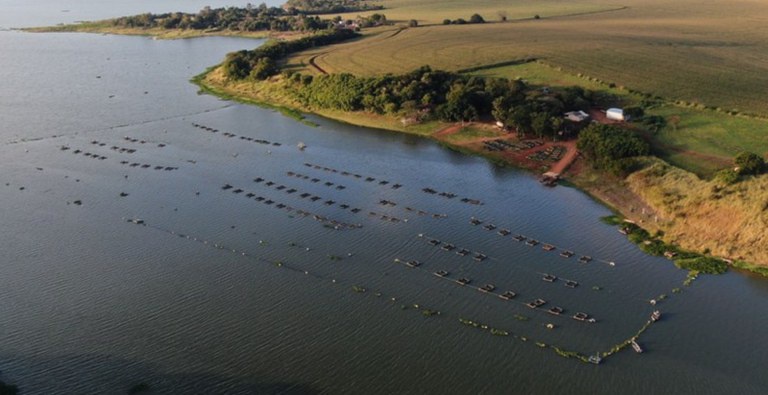 Cultivo de peixes em reservatório de hidrelétricas é regulamentado