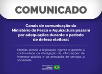Defeso Eleitoral