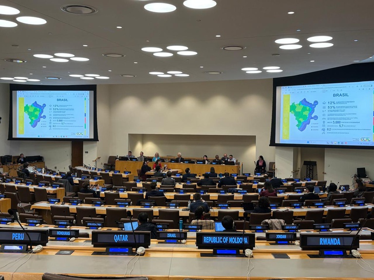 Em Painel da ONU, Brasil apresenta as oportunidades para o setor pesqueiro