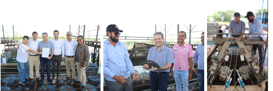Ministro em visita aos produtores de tilápia em MT e SP
