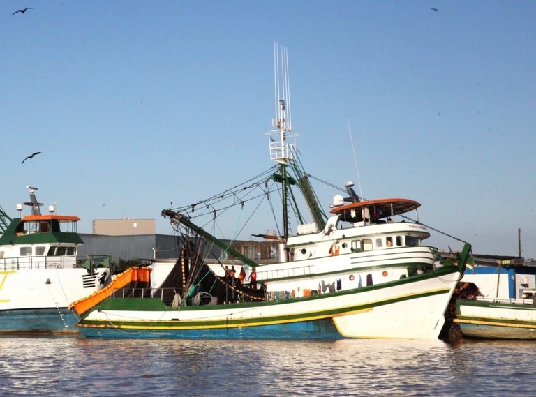 Encerramento da temporada de pesca da tainha na modalidade de permissionamento de cerco/traineira