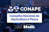 Estão abertas as inscrições do Chamamento Público de representantes para o Conselho Nacional de Aquicultura e Pesca