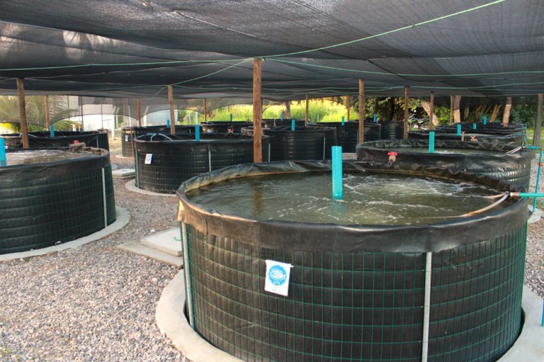 WhatsApp Image 2025-06-17 at 11.11.42.JPG