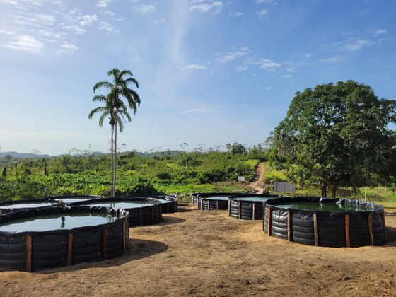 Tanques de piscicultura instalados no território indígena