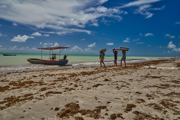 Governo institui lei que cria a Semana Nacional da Promoção da Pesca Artesanal 