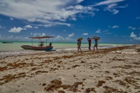 Governo institui lei que cria a Semana Nacional da Promoção da Pesca Artesanal