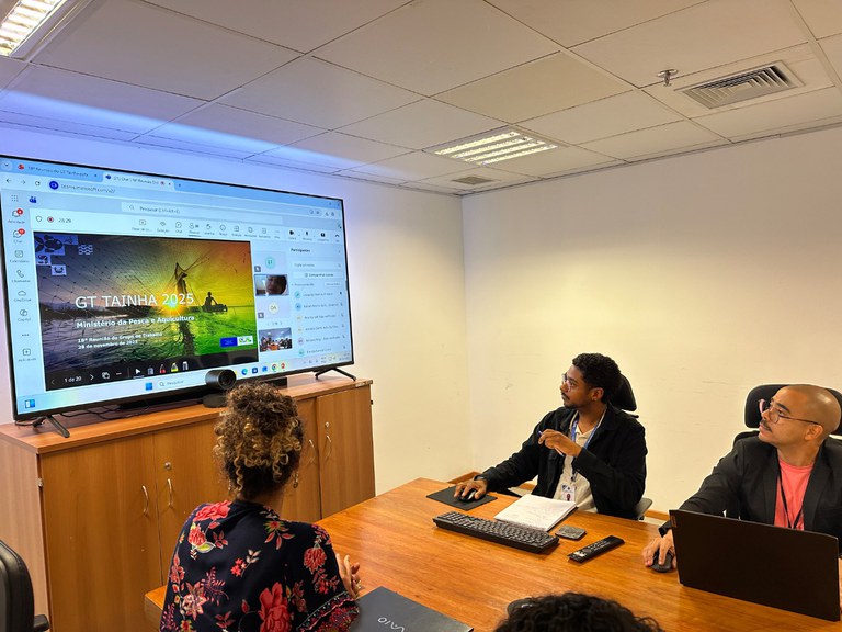 GT tainha debate pesquisa sobre avaliação da estoque e apresenta possibilidade de aumento de cota para 2026