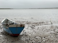 Início da Piracema restringe a pesca em todo o país