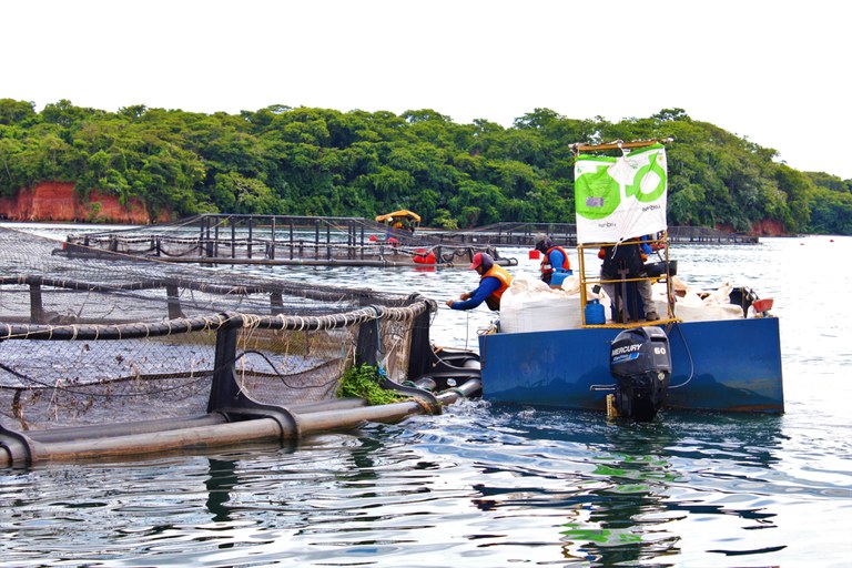 Inovação tecnológica e desenvolvimento do mercado: metas do Governo Federal para a aquicultura brasileira