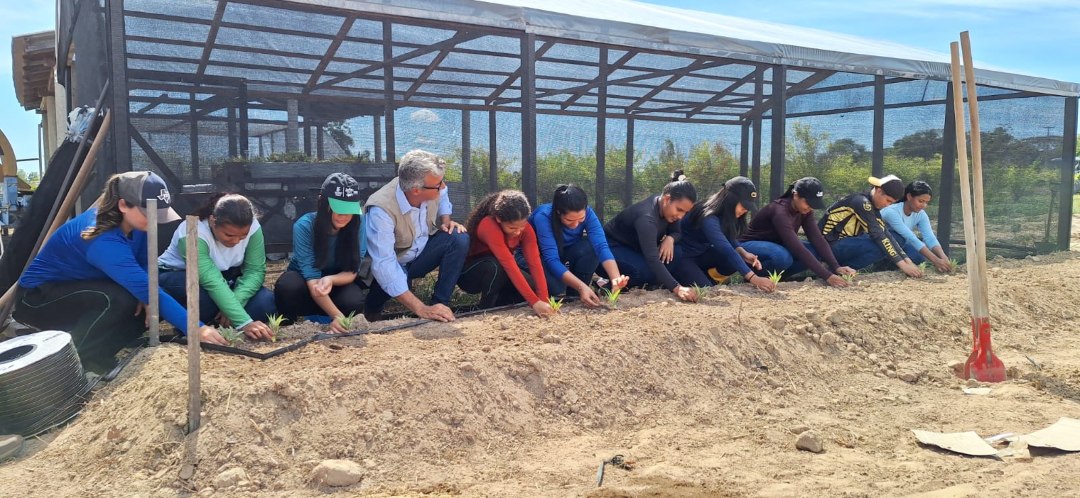 Onde antes havia garimpo, agora há alimento: governo implanta unidades para a soberania alimentar na Terra Yanomami A unidade demonstrativa de Sikamabiu é a primeira de uma série de 8 unidades a serem distribuídas pelo território ainda neste ano