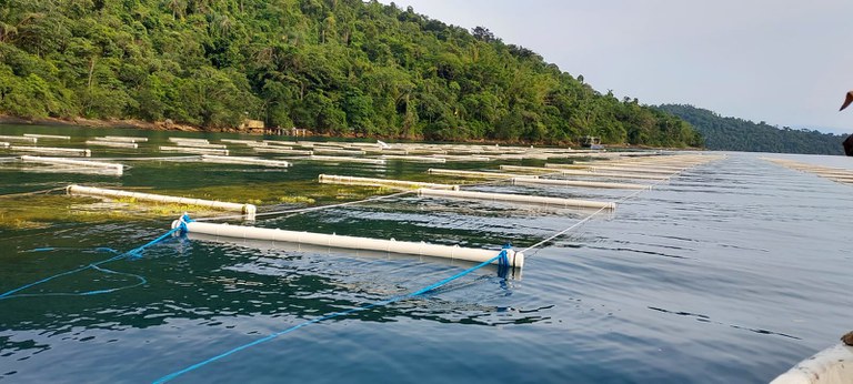 Ministério da Pesca e Aquicultura altera regras para cessão de uso de Águas da União