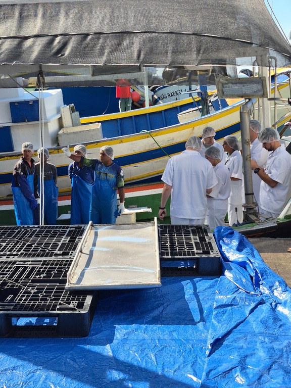 WhatsApp Image 2025-07-18 at 10.10.13 (3).jpeg