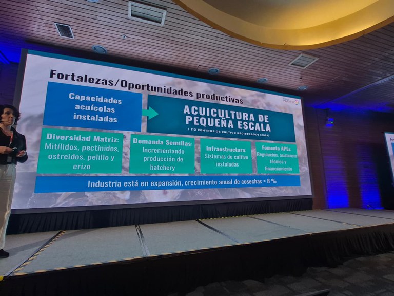 WhatsApp Image 2025-09-08 at 11.13.13.jpeg