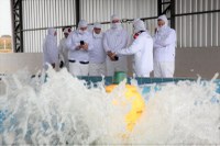 Ministro da Pesca e Aquicultura volta ao Paraná para conhecer produção de tilápia, em Londrina