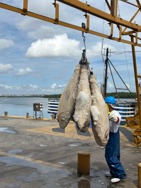 WhatsApp Image 2025-04-30 at 16.23.56 (1).jpeg