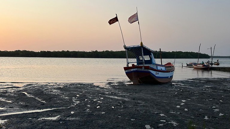 MPA atualiza bases de dados abertos da pesca e aquicultura