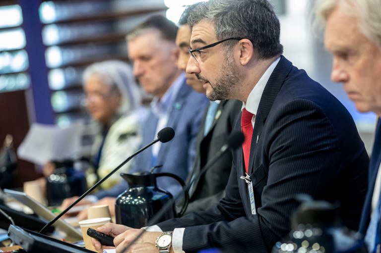 MPA discute questões sanitárias em evento da FAO