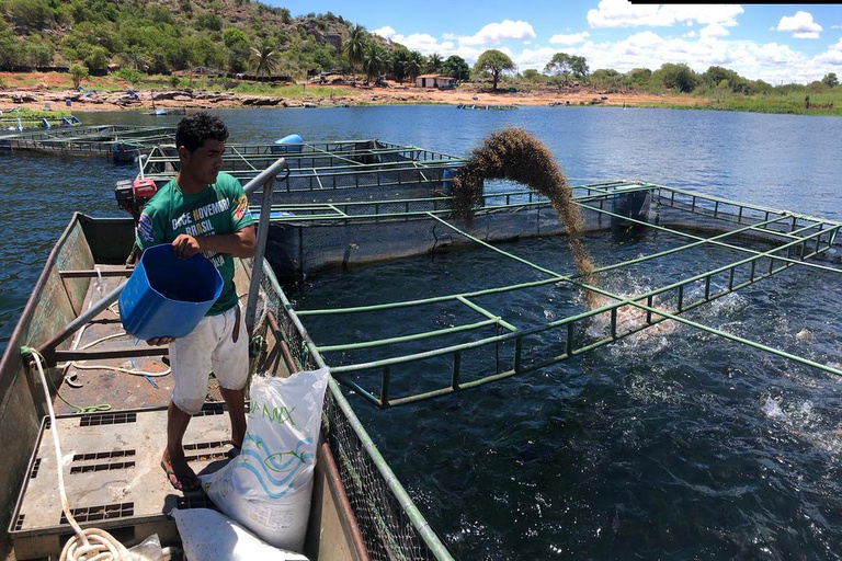 MPA divulga calendário do curso Multiplicadores Aquícolas