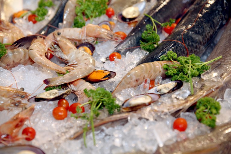 MPA e MMA estabelecem temporada de pesca do camarão no Rio Tramandaí (RS)