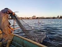 MPA e MMA liberam abertura da safra do camarão no estuário do rio Tramandaí