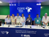 MPA fortalece discussões sobre bagres migratórios e apoia a aprovação do Plano de Ação para as espécies