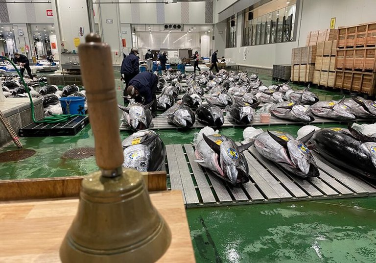 WhatsApp Image 2025-12-24 at 11.21.45.jpeg