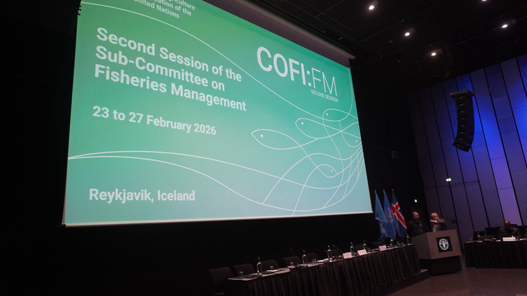 MPA participa de evento da ONU sobre sustentabilidade e governança da pesca 