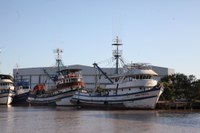 MPA passa a emitir nova certificação exigida pelos Estados Unidos para produtos pesqueiros